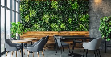 How Biophilic Design Improves Office Spaces